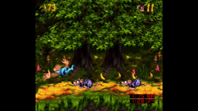 dkc3-5