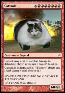 cattank-magic-card